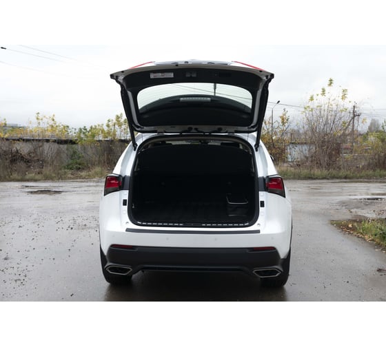 Накладка на задний бампер Русская Артель для Lexus NX 2017- г.в. NL-162302