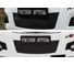 Защитная сетка Русская Артель для Great Wall Hover H3 2010-2013 SRG-138202 2