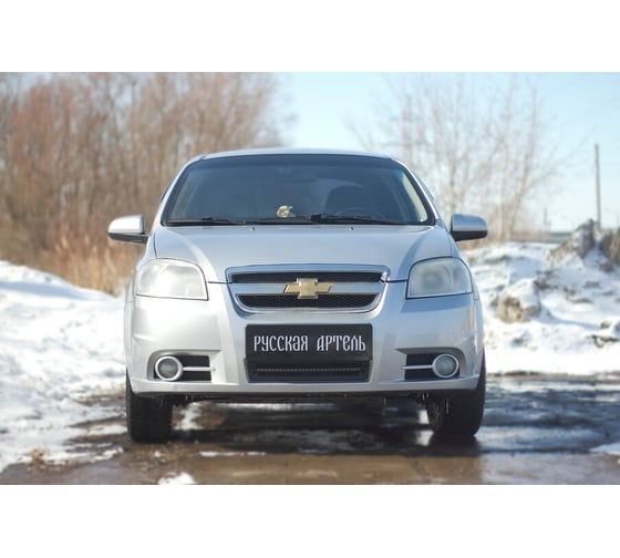 Защитная сетка переднего бампера Русская Артель для Chevrolet Aveo седан 2007-2012 SRC-134102