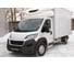 Защитная сетка решетки переднего бампера Русская Артель для Fiat Ducato 2014- (290 кузов) SRF-134062 5