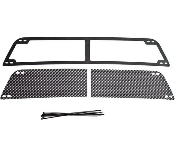 Защитная сетка переднего бампера Русская Артель для Renault Sandero 2009-2013 SBRS-046502 1