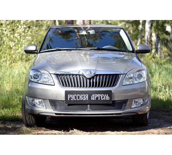 Защитная сетка переднего бампера Русская Артель для Skoda Fabia II 2010-2013 SBSF-046702