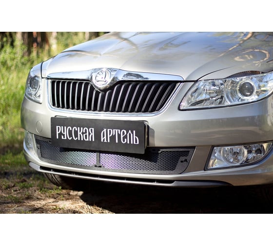 Защитная сетка переднего бампера Русская Артель для Skoda Fabia II 2010-2013 SBSF-046702
