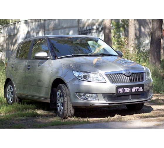 Защитная сетка переднего бампера Русская Артель для Skoda Fabia II 2010-2013 SBSF-046702