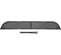 Защитная сетка переднего бампера Русская Артель для Mitsubishi L200 2007-2010 SBML-048502