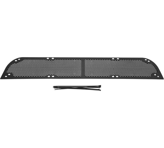 Защитная сетка переднего бампера Русская Артель для Mitsubishi L200 2007-2010 SBML-048502