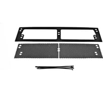 Защитная сетка решетки переднего бампера Русская Артель KIA Rio III 2015- (рестайлинг) SRK-137002