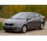 Защитная сетка решетки переднего бампера Русская Артель KIA Rio III 2015- (рестайлинг) SRK-137002 5