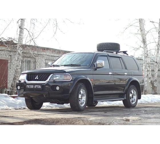 Защитная сетка переднего бампера Русская Артель для Mitsubishi Pajero Sport 1998-2004 SRM-134302