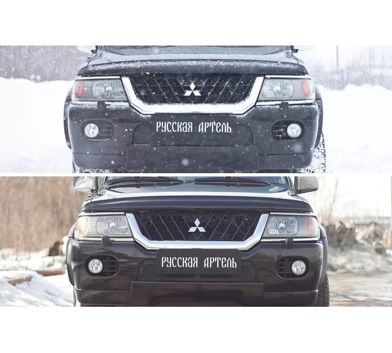 Защитная сетка Русская Артель для Mitsubishi Pajero Sport 1998-2004 SRM-134702