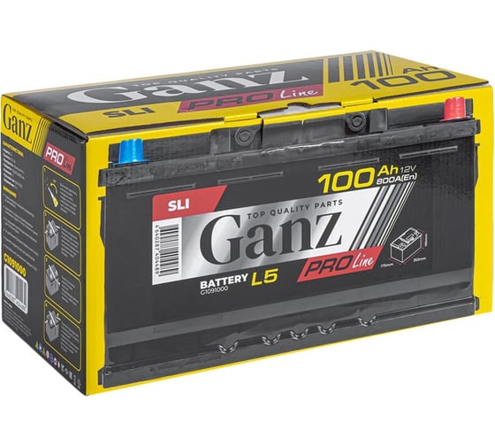 Аккумулятор Ganz PRO-Line DIN 100 А/ч обратный R+ 353x175x190 L5 EN 800 А G1091000