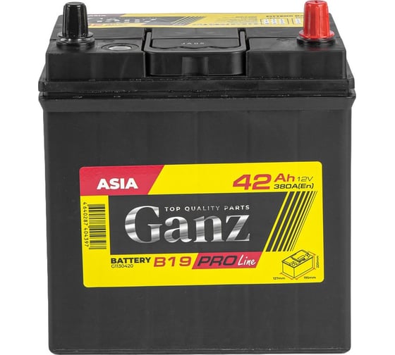 Аккумулятор Ganz PRO-Line JIS 42 А/ч обратный R+ 195x127x220 B19 EN 380 А G1130420
