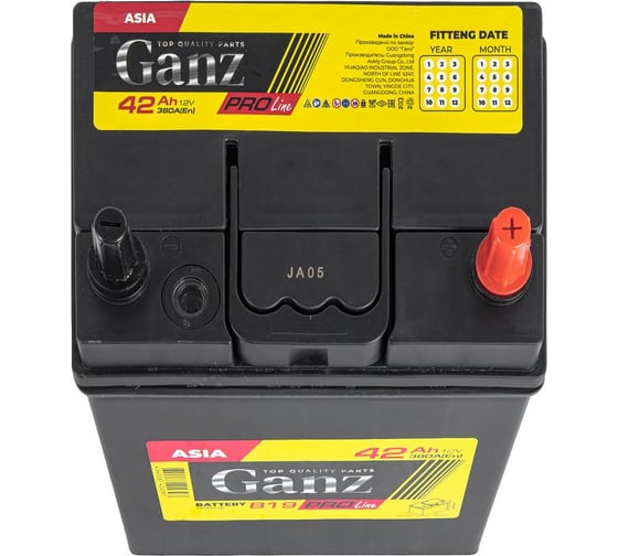 Аккумулятор Ganz PRO-Line JIS 42 А/ч обратный R+ 195x127x220 B19 EN 380 А G1130420