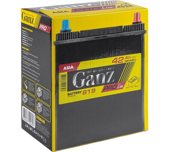 Аккумулятор Ganz PRO-Line JIS 42 А/ч обратный R+ 195x127x220 B19 EN 380 А G1130420