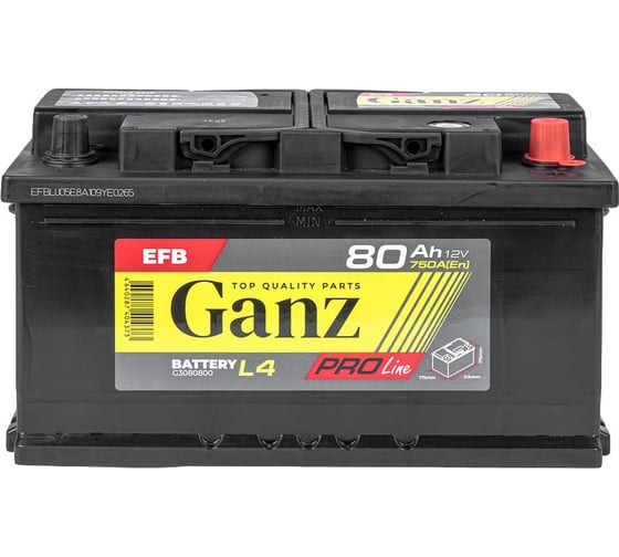 Аккумулятор Ganz PRO-Line EFB 80 А/ч обратный R+ 315x175x175 L4 EN 750 А G3080800