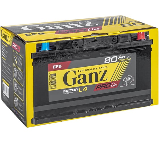 Аккумулятор Ganz PRO-Line EFB 80 А/ч обратный R+ 315x175x175 L4 EN 750 А G3080800