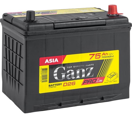 Аккумулятор Ganz PRO-Line JIS 75 А/ч обратный R+ 258x173x220 D26 EN 700 А G1180750
