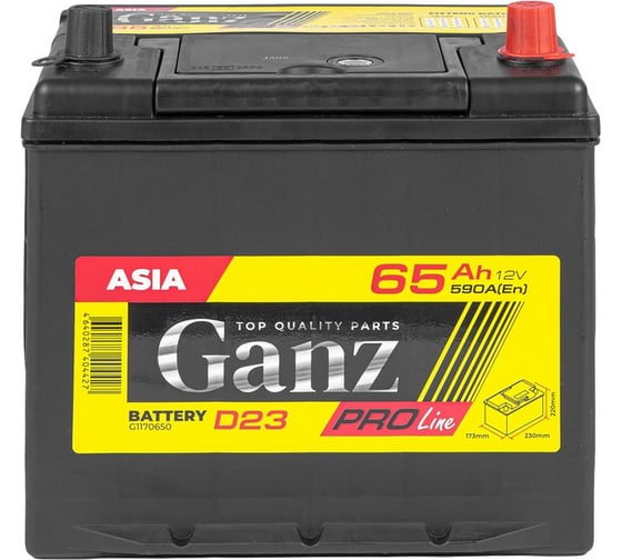 Аккумулятор Ganz PRO-Line JIS 65 А/ч обратный R+ 230x173x220 D23 EN 590 А G1170650