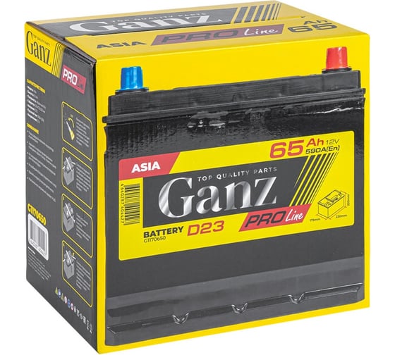 Аккумулятор Ganz PRO-Line JIS 65 А/ч обратный R+ 230x173x220 D23 EN 590 А G1170650