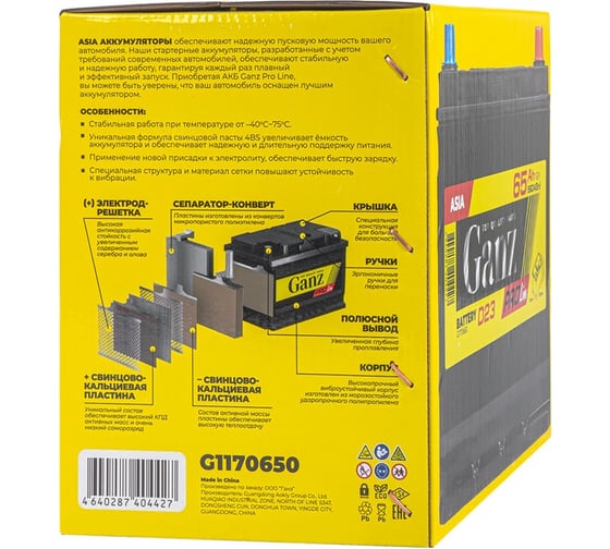 Аккумулятор Ganz PRO-Line JIS 65 А/ч обратный R+ 230x173x220 D23 EN 590 А G1170650