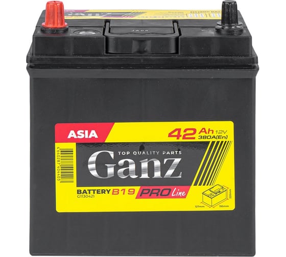 Аккумулятор Ganz PRO-Line JIS 42 А/ч прямой L+ 195x127x220 B19 EN 380 А G1130421