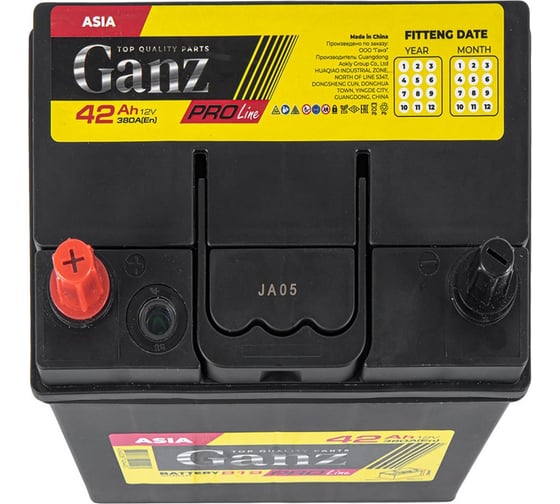 Аккумулятор Ganz PRO-Line JIS 42 А/ч прямой L+ 195x127x220 B19 EN 380 А G1130421