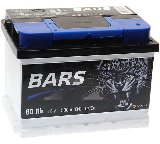 Аккумуляторная батарея BARS 6СТ60 060 13 50 01 0221 09