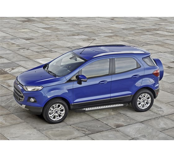 Пороги на автомобиль Rival Bmw-Style круг для Ford EcoSport 2014-2018-2017-н.в., 160 см, 2 шт., алюминий D160AL.1806.1