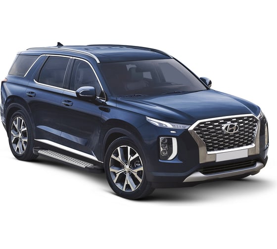 Пороги на автомобиль Rival Bmw-Style круг для Hyundai Palisade 2020-н.в., 193 см, 2 шт., алюминий D193AL.2311.1