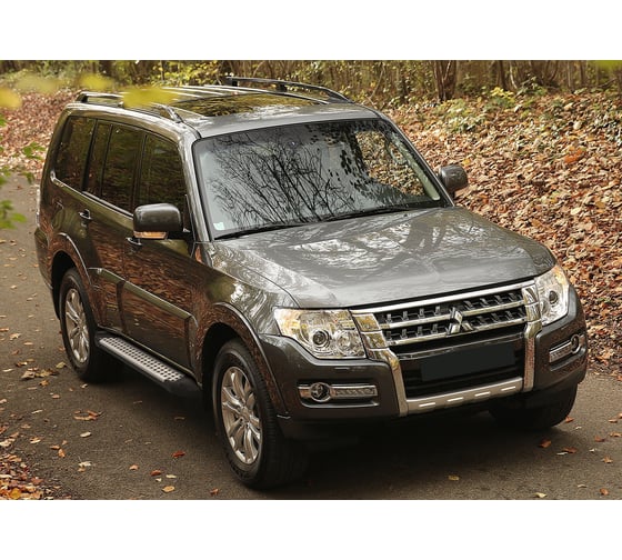 Пороги на автомобиль Rival Bmw-Style круг для Mitsubishi Pajero IV 2006-2014-н.в., 173 см, 2 шт., алюминий D173AL.4002.1
