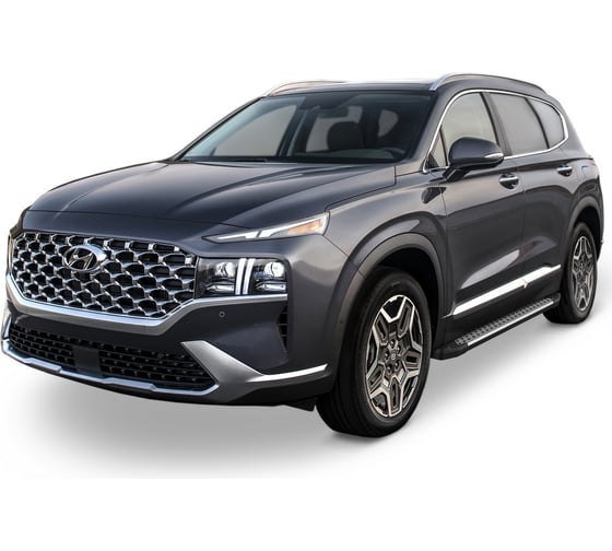 Пороги на автомобиль Rival Bmw-Style круг для Hyundai Santa Fe IV рестайлинг 2021-н.в., 180 см, 2 шт., алюминий D180AL.2312.1
