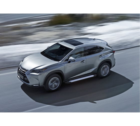 Пороги на автомобиль Rival Bmw-Style круг для Lexus NX 2014-2017 г.в., 173 см, 2 шт., алюминий D173AL.3202.1