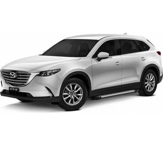 Пороги на автомобиль Rival Bmw-Style круг для Mazda CX-9 II 2016-н.в., 193 см, 2 шт., алюминий D193AL.3803.2