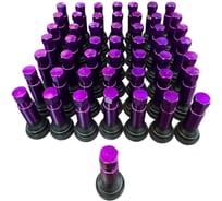 Вентиль колеса автомобильный Great Wolf в сборе, фиолетовый, 50шт GWK050