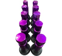 Вентиль колеса автомобильный Great Wolf в сборе, фиолетовый, 10шт GWK010