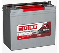 Аккумуляторная батарея Mutlu SFB M3 6СТ-55.0 65B24L тонк.кл. B24.55.045.E