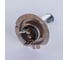 Лампа Nord-Yada H7 12V 55W CLEAR PREMIUM LONG LIFE 904723 2