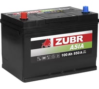 Аккумуляторная батарея ZUBR Premium Asia 100Ah L+ (нижний борт) ZPA1001