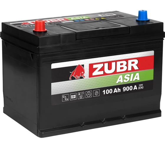 Аккумуляторная батарея ZUBR Premium Asia 100Ah L+ (нижний борт) ZPA1001