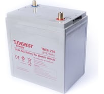 Тяговая аккумуляторная батарея EVEREST Energy TNE 6-270