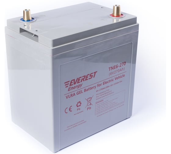 Тяговая аккумуляторная батарея EVEREST Energy TNE 6-270