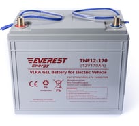 Тяговая аккумуляторная батарея EVEREST Energy TNE 12-170