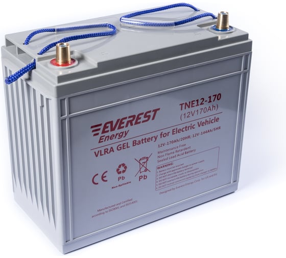 Тяговая аккумуляторная батарея EVEREST Energy TNE 12-170