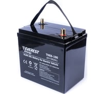 Тяговая аккумуляторная батарея EVEREST Energy TNE 6-190