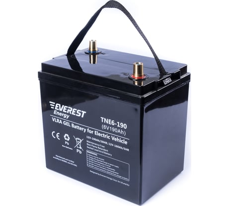 Тяговая аккумуляторная батарея EVEREST Energy TNE 6-190