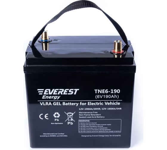 Тяговая аккумуляторная батарея EVEREST Energy TNE 6-190