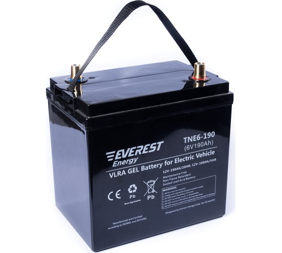 Тяговая аккумуляторная батарея EVEREST Energy TNE 6-190