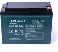 Тяговые аккумуляторные батареи EVEREST Energy TNE12-45L