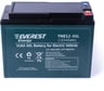 Тяговые аккумуляторные батареи EVEREST Energy TNE12-45L