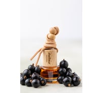 Автопарфюм Meilleur с ароматом Черная смородина 4665304421188